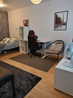 Rauhallinen yksiö kirkkokadulla Kuopio